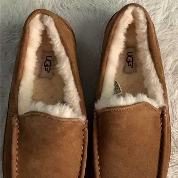 New UGG Men - Picture 4 of 4
